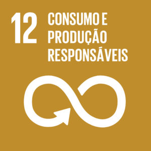Consumo e Produção Responsáveis